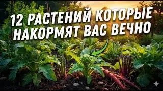 12 овощей, которые вы посадите один раз и будете собирать урожай всю жизнь