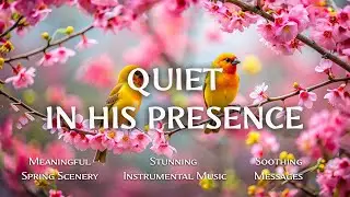 QUIET IN HIS PRESENCE - Soaking worship instrumental - Prayer, Devotional, Meditation and Relaxation