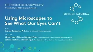 Science Saturday 2021: Using Microscopes to See What our Eyes Can't