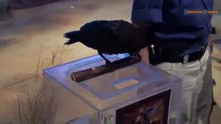 The National Aviary