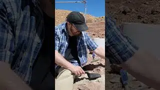 St. George Utah Dinosaurs Dig. #Dinosaurs #Dino #Dig. #Utah #stgeorgeutah #Adventure #Ostrom