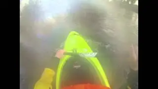 GoPro: Dagger Mamba 8.1 2012