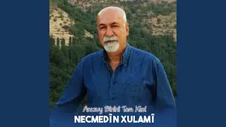 Arezuy Bînînî Tom Kird