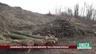 Camminata pacifica nei boschi di Bernate, tra i cantieri di Pedemontana