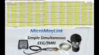 Micro MagLink RT for EEG/fMRI and EEG/MEG Recording