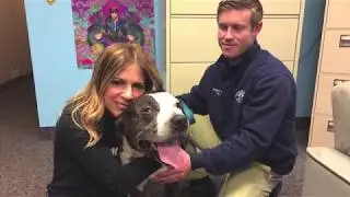 WDHA's Rock N' Ruff with Gary