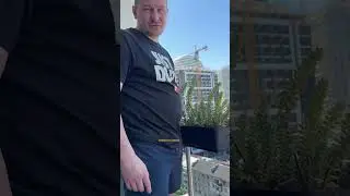 Цена Эфира этим летом. Прогноз