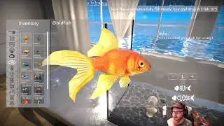 Aquarist - Aquarium Managing Game