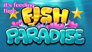 it's feeding time || fish paradise aquarium live