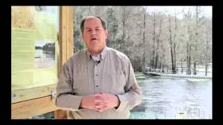 Jackson County, Florida Promo with Dale Cox- 'Jackson Blue'