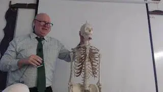 A&PJAN6