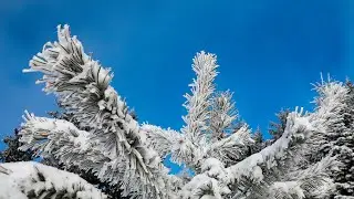 Winterwonderland Mühlviertel