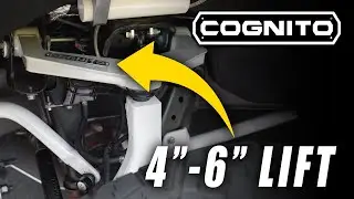 Cognito 4-6