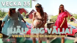 KLÄNNINGHAUL, TROSPROBLEM & MVC-BESÖK  - Susanna Karlsson vecka 35