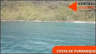 Bah&iacute;a de San Pedro en Purranque