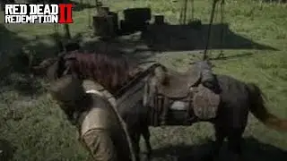 Traveling to destinations in Open World games   Red Dead Redemption 2