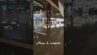 The Dark Side of Viral Videos at Qatar Airport