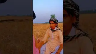 harami Baba 🤣😂 #funny #comedyvideos #comedy #therealfools #shortvideos