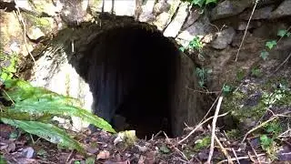 Priddy Barrows & Mineries, PART IX, 'Old Smelting Tunnels Hidden in the Undergrowth' by Sheila, Febr