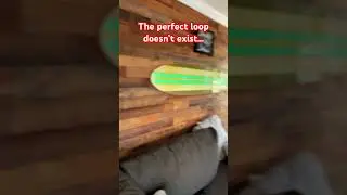 The perfect loop doesn&rsquo;t exist&hellip; #perfectloop