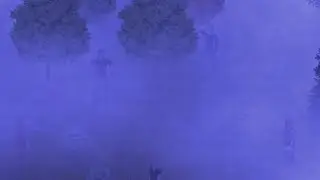 There's Something In The Fog