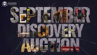 September 2025 Discovery Auction Treasures: 500+ Rare & Unique Finds Inside! #auctionswork