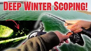 Охота на окуня зимой в открытом море с помощью Livescope! (Рыбалка на водохранилище Хайленд)