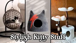 Cute Cat Furniture That Will Complement Your Apartment Decor & Make Your Kitty Happy 😽