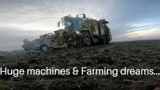Moles, Machines & Turnip gate!