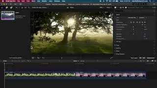 ESTRATTO FCPX - SMART CONFORM SOCIAL - TIK TOK / NSTAGRAM FORMAT.