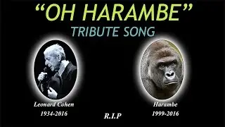 Oh Harambe