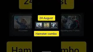 24 August hamster kombat daily combo #hamsterkombat