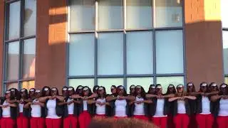 Las Vegas Alumnae Chapter of Delta Sigma Theta Sorority Spring 2018