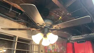 2019 canarm seymour 107cm ceiling fan