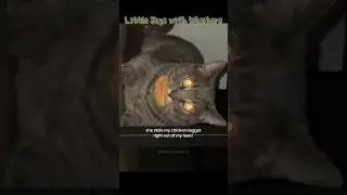 Little Joys with Whiskers