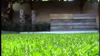 Landscaping for Sydney Courtyard
