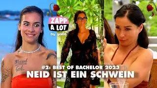 Vol. 2 - 🌹 Best of BACHELOR 2023 🌹 - 😾 Neid ist ein Schwein 🐷 - by @Zappalot