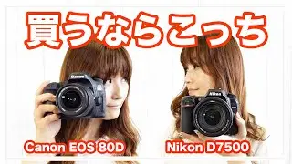 Canon EOS 80DとNikon D7500を徹底比較【一眼レフカメラ】