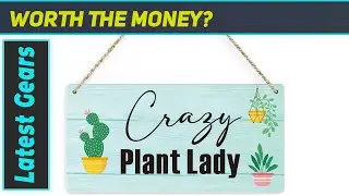 Best Cactus Decor Plant Gifts for Home and Garden