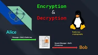 Encryption and Decryption with Public Key Cryptography for Secure Network Communications