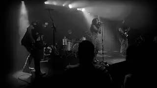 Barrel of Donkeys live by @killola 7/21/23