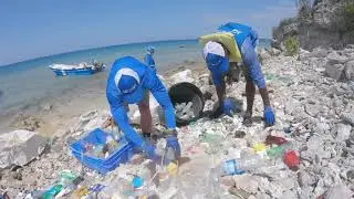 Don't Go Near The Water by The Beach Boys - Music Video