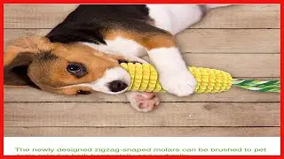 Dog Chew Toys for Aggressive Chewers, Indestructible Tough Durable Squeaky Interactive Dog Toys