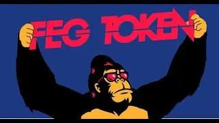 What is the FEG TOKEN 50 or 100x