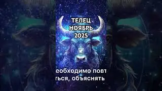 ТЕЛЕЦ НОЯБРЬ 2025 #телец2025 #телец #телецноябрь2025 #телецгороскоп #гороскоптелец #телецпрогноз