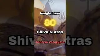 Shiva Sutras- Insight 80