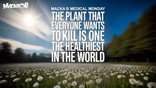 Macka B's Medical Monday The Plant That Everyone Wants To Kill Is One Of The Healthiest In The World