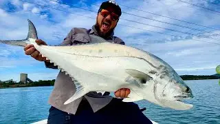 Biggest queenfish I've ever seen!