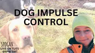 Spogan online dog training -LIVE 18th NOV 2025 8pm GMT - IMPULSE CONTROL