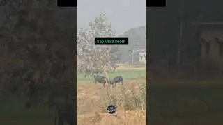 Samsung galaxy s25 ultra 20x zoom test 😱 #S25Ultra#ZoomTest#viralvideo #shorts#s24ultra #zooming